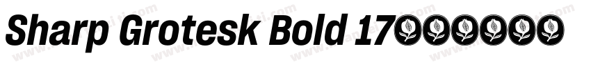 Sharp Grotesk Bold 17字体转换